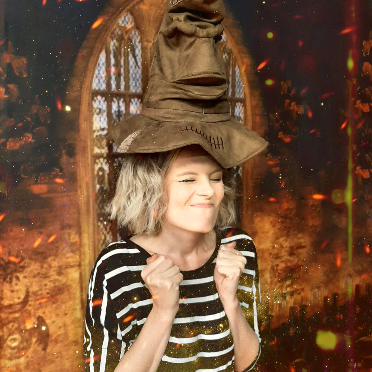 Nicole Schuhmacher - Autorin beim Sternensand Verlag - Galerie - Der sprechende Hut aus Harry Potter